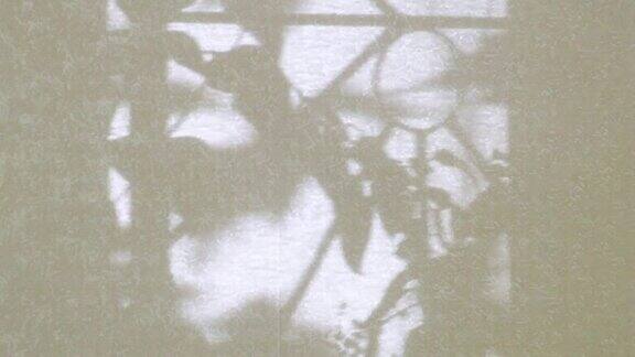窗帘的影子在墙上摆动暗室的夜景与移动的影子