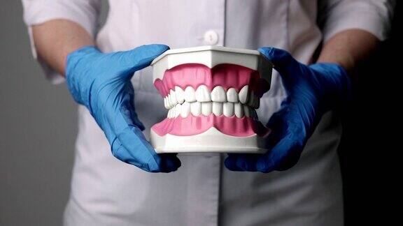 牙齿模型牙床和牙齿在牙医手中张开和闭合嘴巴口腔医学和牙科概念