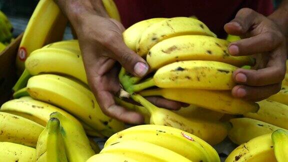 在超市挑选香蕉