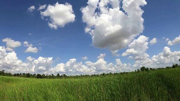 绿色田野上的天空和云朵