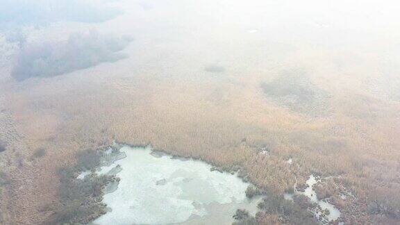 枯黄的芦苇岸边一个结冰的湖秋色景观鸟瞰