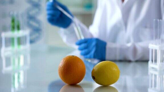 橙子和柠檬实验室桌子化学家研究香水提取物芳香疗法