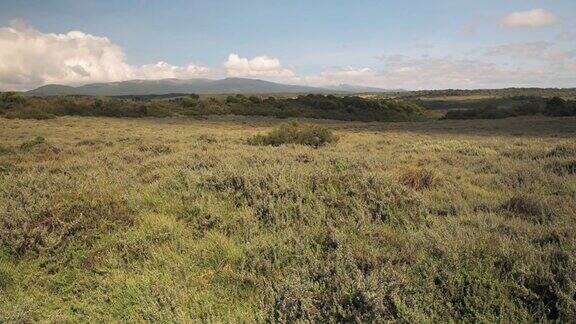 草原风光阿伯代尔国家公园肯尼亚
