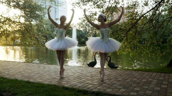 优美的芭蕾舞演员在河边的公园里以天鹅为背景跳舞