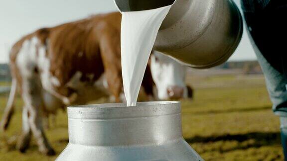 这是一个农民在牧场上往桶里倒牛奶的画面