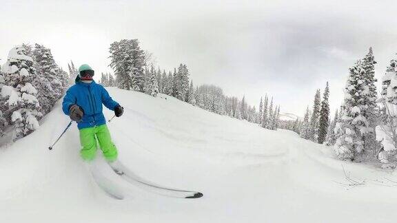 一名男性滑雪者在公园城的一棵树滑雪之旅中撕碎新鲜的粉末