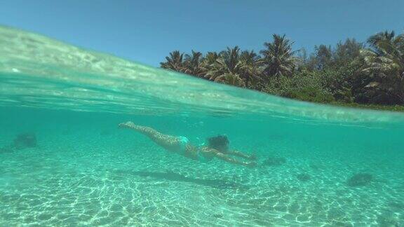 半水下:活跃的女孩在度假潜水经过黑暗的海星在海底