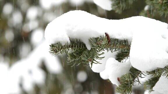 雪落