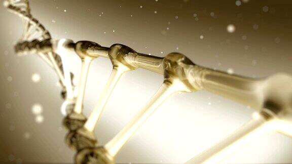 金色DNA螺旋旋转