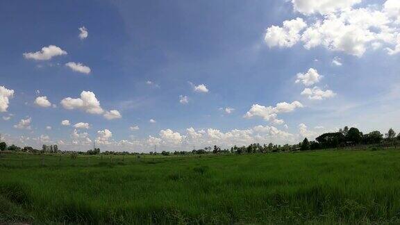 时间流逝的绿色田野与天空和云
