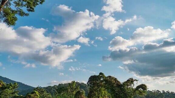 看森林与蓝天与移动的云时间流逝的视频