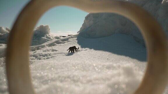 长毛象在寒冷的雪景中雪景和猛犸象猛犸象站在永久冻土层中