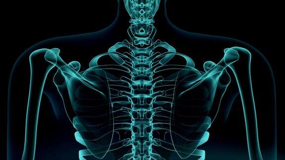 肩部疼痛的3D图解医学概念4k.1
