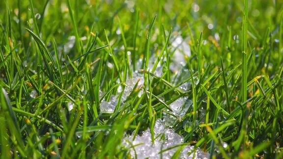 春天草地上融化的雪