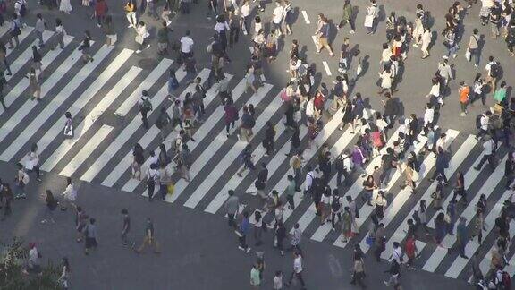 延时拍摄:东京涉谷十字路口日本