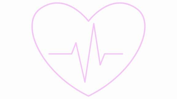 动画粉色跳动心脏与心电图心脏跳动的线性符号心脏跳动的循环视频保健学、心脏病学、医学矢量插图孤立在白色背景上