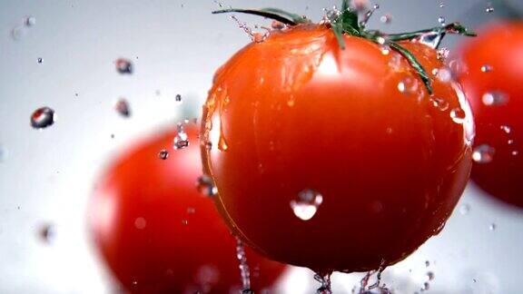 水溅到西红柿上慢镜头