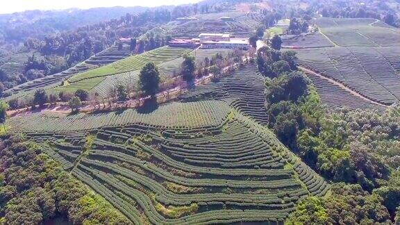 空中俯瞰茶园清迈省泰国