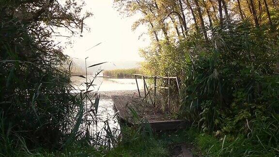 桥和芦苇在秋日的早晨