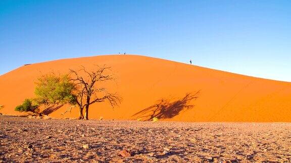 纳米比亚沙丘上的游客