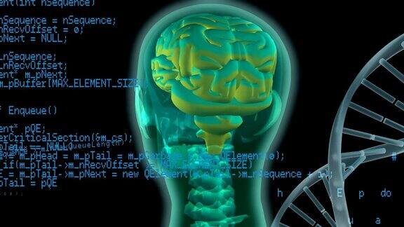 数字大脑和DNA螺旋