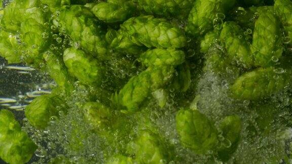 绿色的啤酒花落入水中