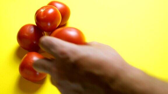成熟的西红柿和一个腐烂的西红柿在黄色的背景人的手把烂番茄变成好番茄