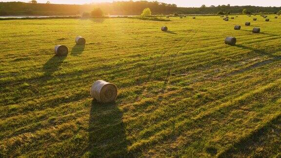 夕阳下田野里捆绑好的干草
