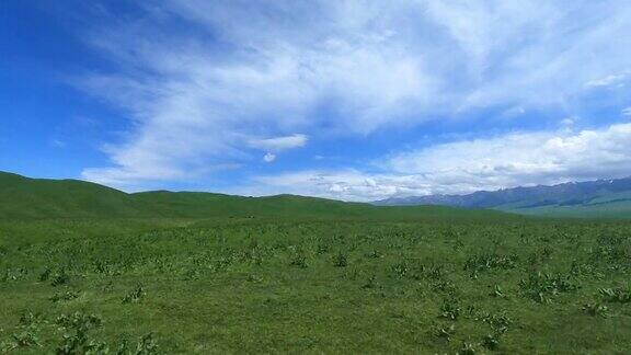 新疆那拉提大草原