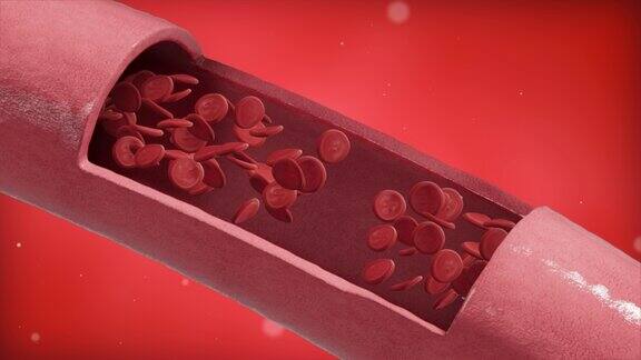 无缝循环红血球在动脉内流动动脉横切面健康的血液流动概念科学医学流血管健康系统动脉