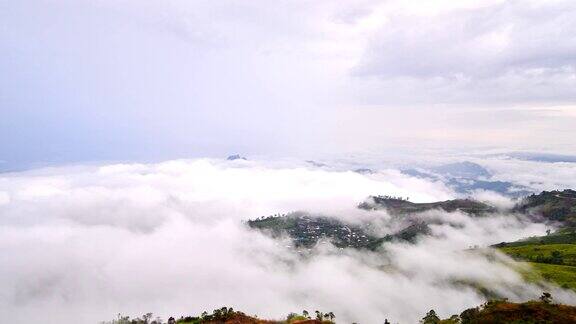 雾蒙蒙的早晨在泰国的山上