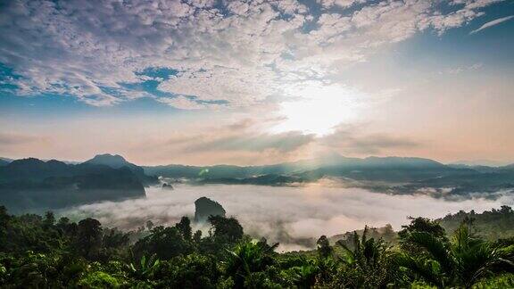 热带雨林的晨雾和日出