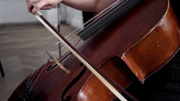 一个低音提琴的特写女性的手在弹奏乐器