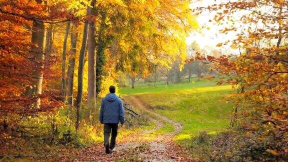 人在秋天美丽的大自然中漫步