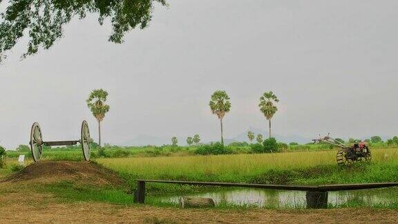 泰国乡村景观稻田在雨天