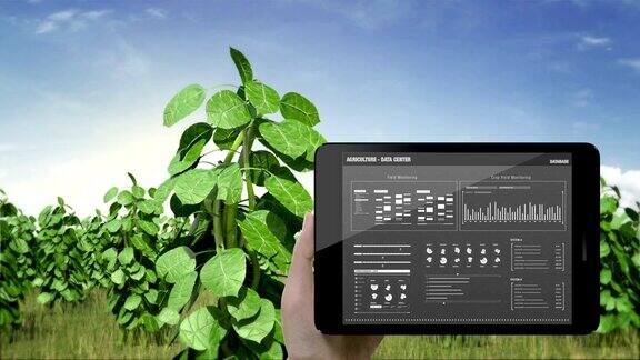智能智慧农场用平板扫描植物分析数据