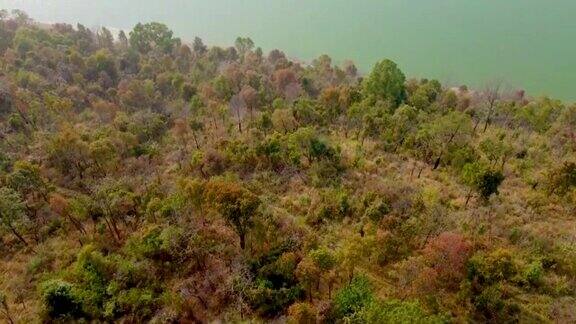 傍晚无人机拍摄的湖边山林覆盖着茂密的绿色森林