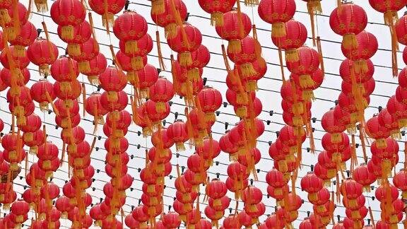 春节期间古老的传统寺庙上挂着圆红灯笼