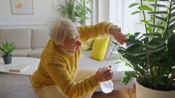 老男人培育植物