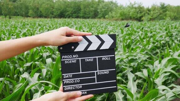 近距离拍摄女导演手持木导演黑色电影在玉米地上制作墙板摄影生产观念农业景观