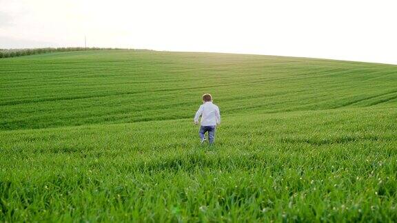 一个快乐的小男孩在绿色的田野上奔跑