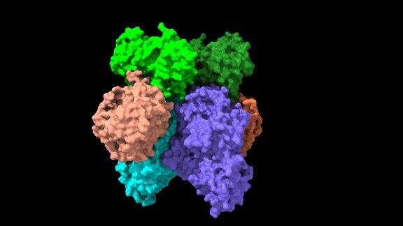 人转铁蛋白受体(蓝色)-转铁蛋白(绿红)复合物