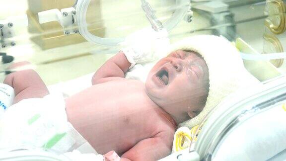 新生儿婴儿在孵化器里的特写年轻的亚洲新生婴儿男孩的肖像在医院的医疗重症监护病房的孵化器里哭泣