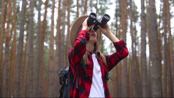 一位女游客在森林里用双筒望远镜看东西概念的徒步旅行旅游