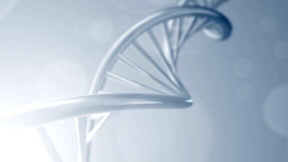 旋转DNA与公式背景