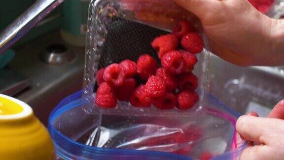 洗树莓冷冻储存慢动作