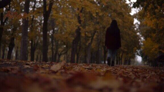 女人走到远处走在秋天的公园里黄色的秋天的树