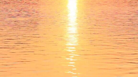 金色的光反射在水面上