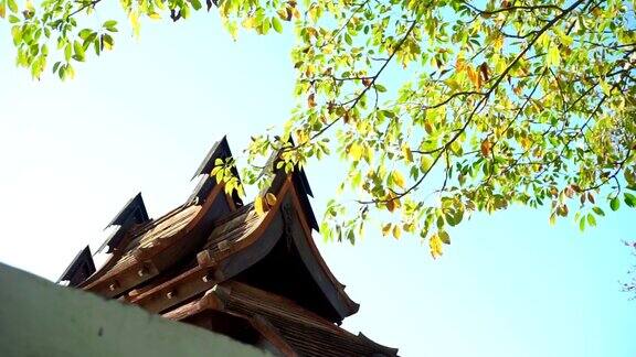 蓝天映衬着古老的屋顶瓦片