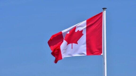 加拿大枫叶旗加拿大国旗